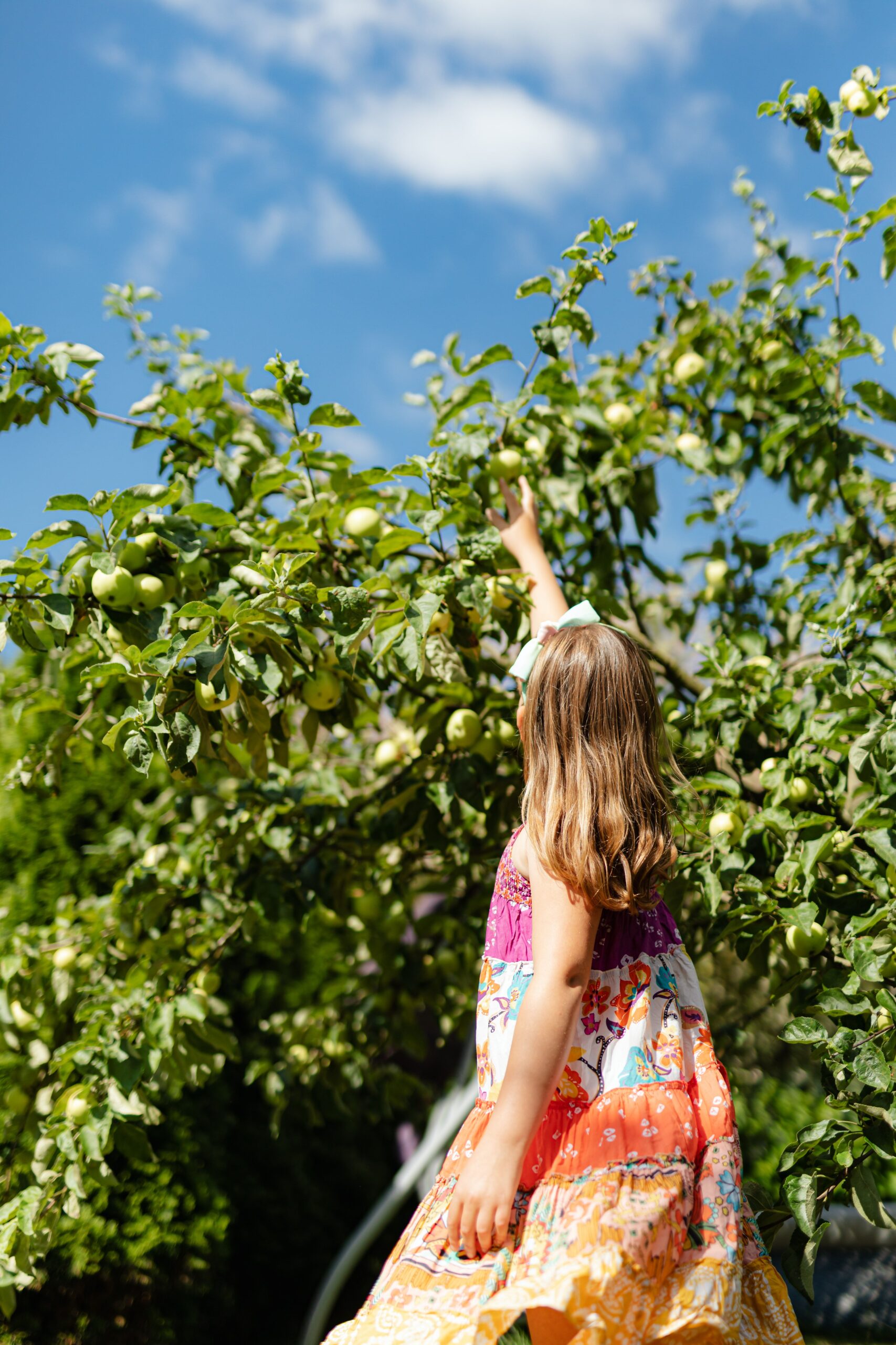 Where to Go Apple Picking in MetroWest & Beyond